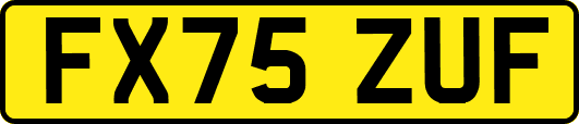 FX75ZUF