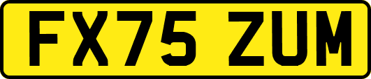 FX75ZUM