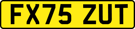 FX75ZUT