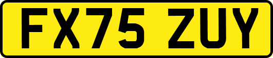 FX75ZUY