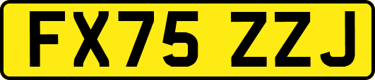 FX75ZZJ