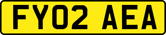 FY02AEA