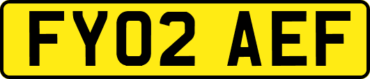 FY02AEF