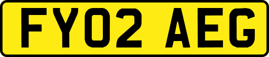 FY02AEG