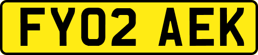 FY02AEK
