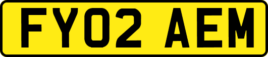 FY02AEM