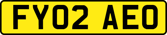 FY02AEO