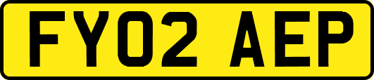 FY02AEP