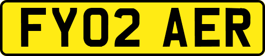 FY02AER