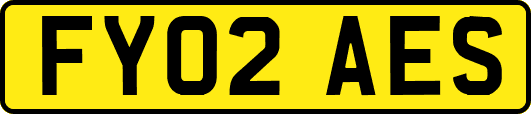 FY02AES