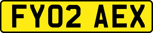 FY02AEX