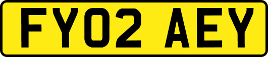 FY02AEY
