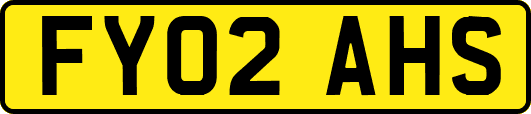 FY02AHS