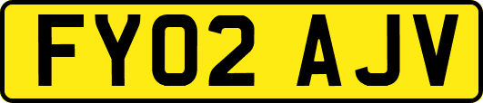FY02AJV
