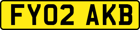FY02AKB