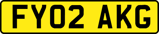 FY02AKG
