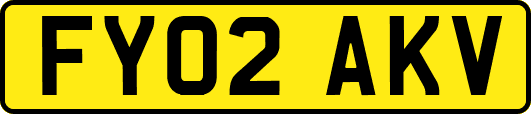 FY02AKV