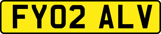FY02ALV