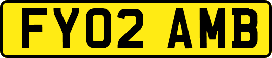 FY02AMB