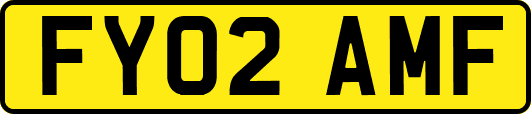 FY02AMF