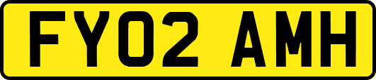 FY02AMH