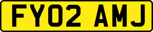 FY02AMJ