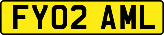 FY02AML