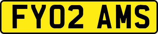 FY02AMS