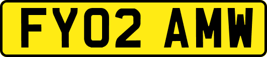 FY02AMW