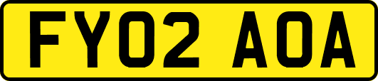 FY02AOA