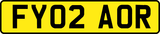 FY02AOR
