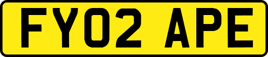 FY02APE