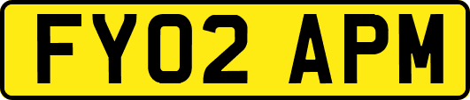 FY02APM