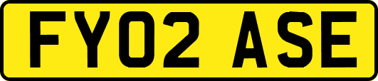 FY02ASE