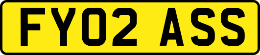 FY02ASS