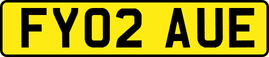 FY02AUE