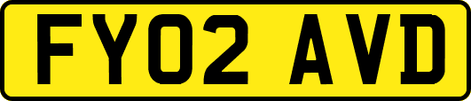 FY02AVD