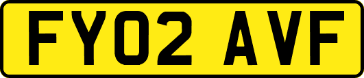 FY02AVF