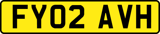 FY02AVH