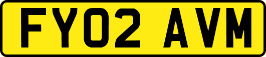 FY02AVM