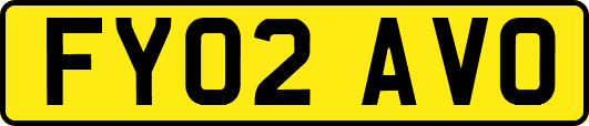 FY02AVO