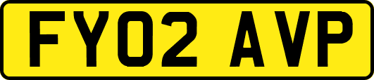 FY02AVP