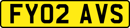 FY02AVS