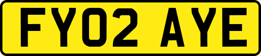 FY02AYE