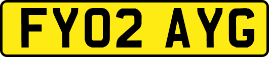 FY02AYG