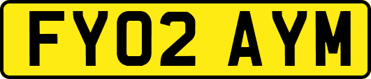 FY02AYM