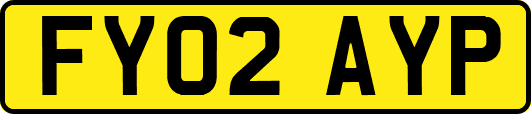 FY02AYP