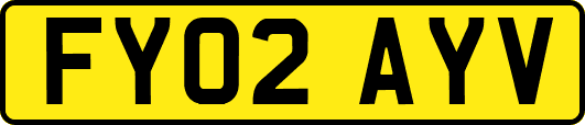 FY02AYV