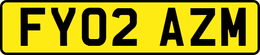 FY02AZM