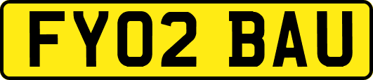 FY02BAU